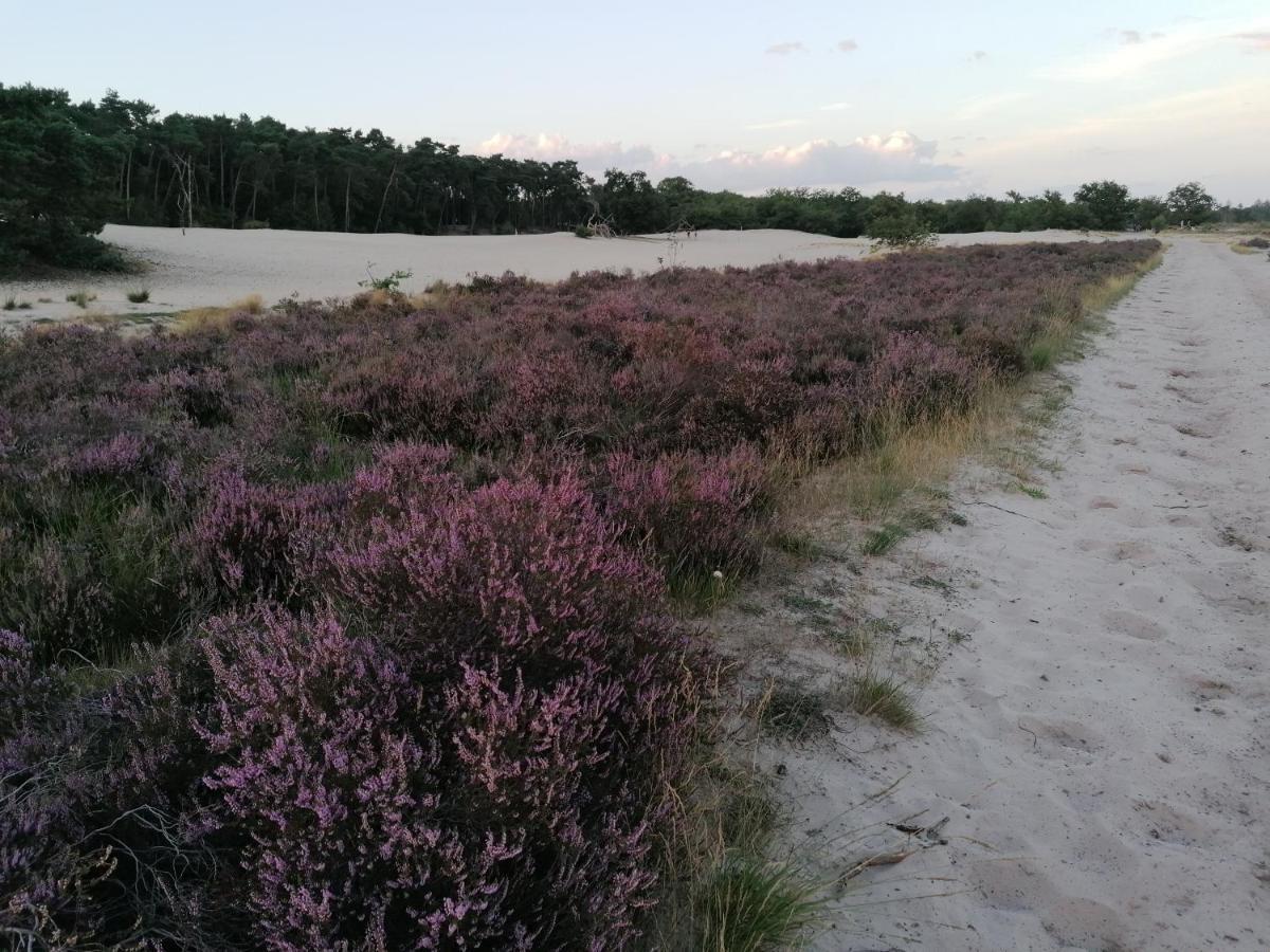 Vakantiehuis De Schaapskooi Drunen Εξωτερικό φωτογραφία
